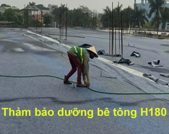 Tham-bao-duong-be-tong-h180 Thảm bảo dưỡng bê tông h180