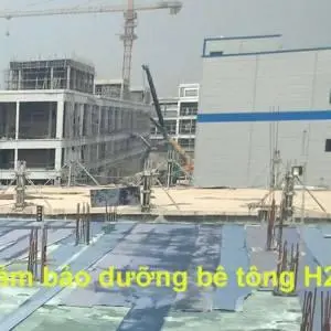 Thảm bảo dưỡng bê tông H220