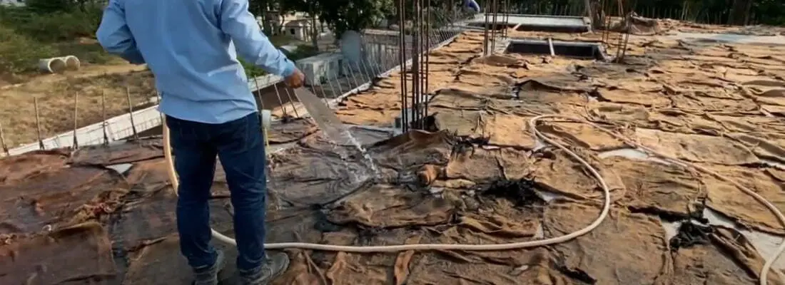 Tưới nước vào bao bố để bảo dưỡng bê tông